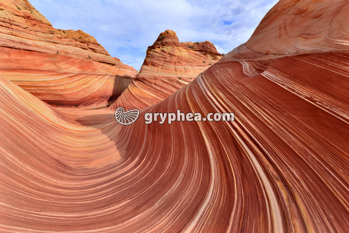 Formations gréseuses (The Wave, Utah) - gryphea.org